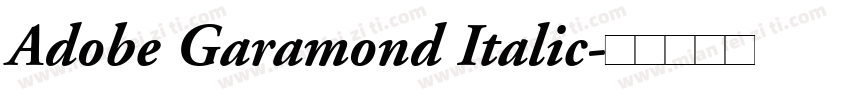 Adobe Garamond Italic字体转换